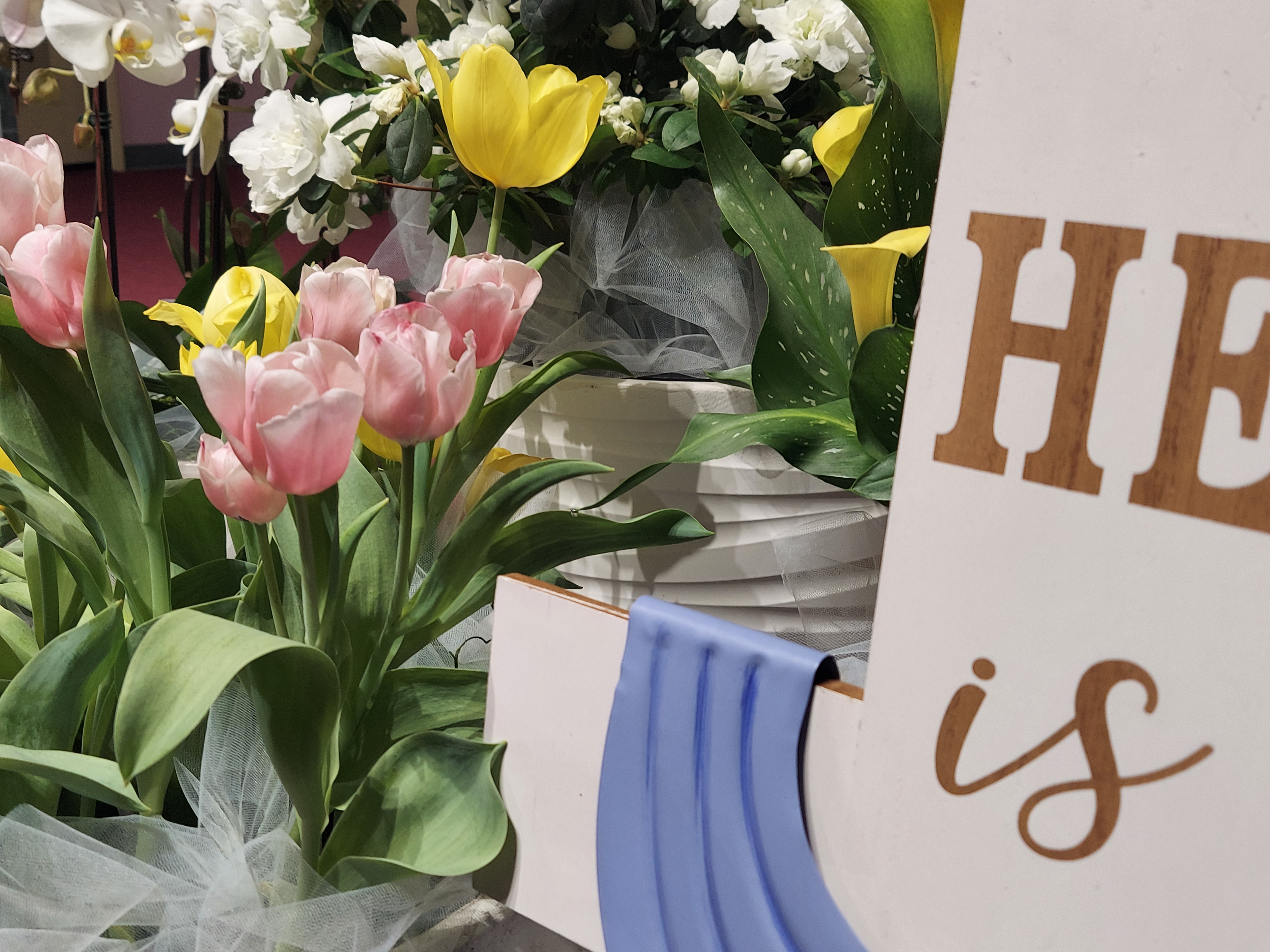 KakaoTalk_Photo_2026-04-11-19-19-40 005.jpeg