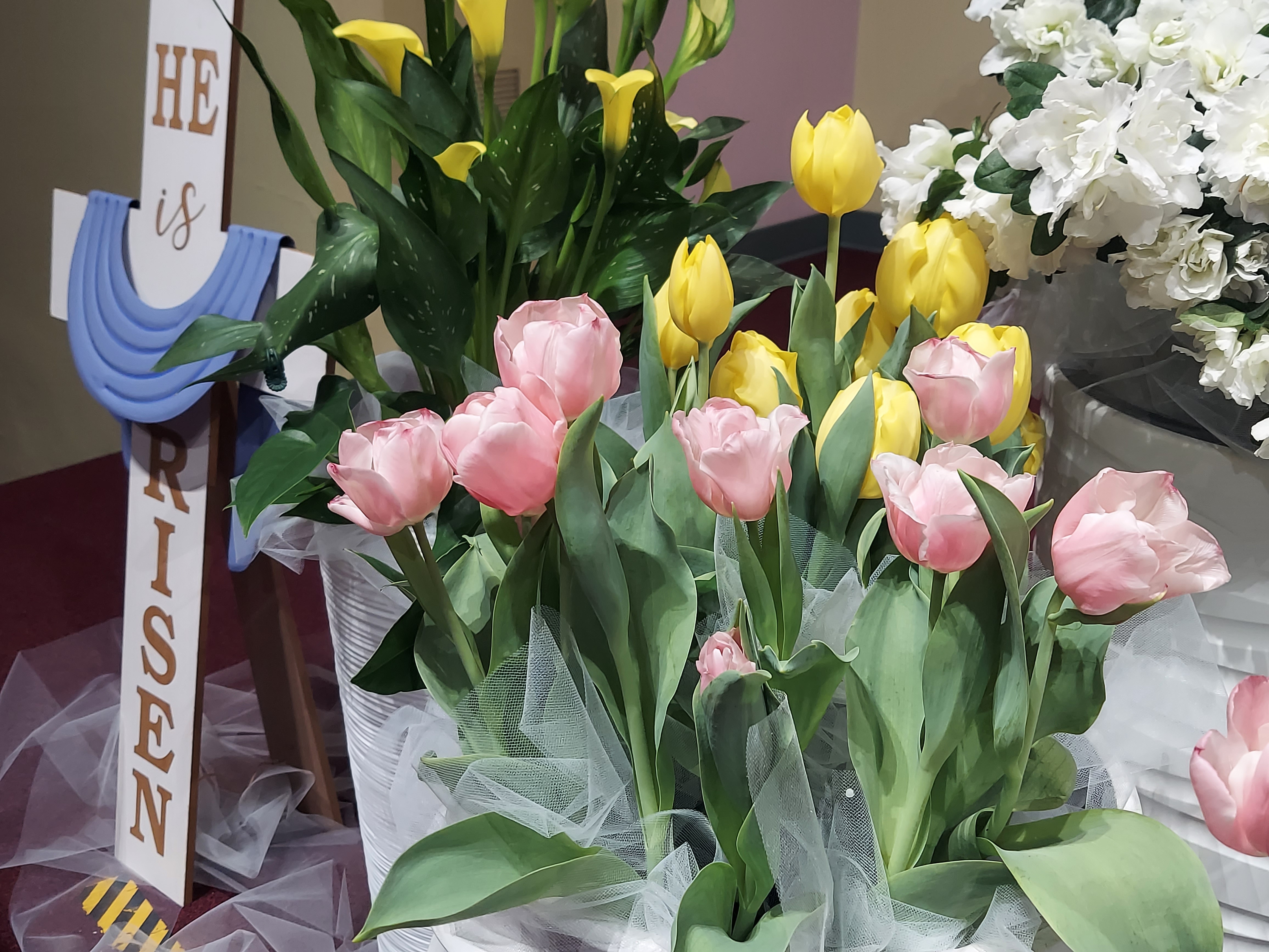 KakaoTalk_Photo_2026-04-11-19-19-40 002.jpeg