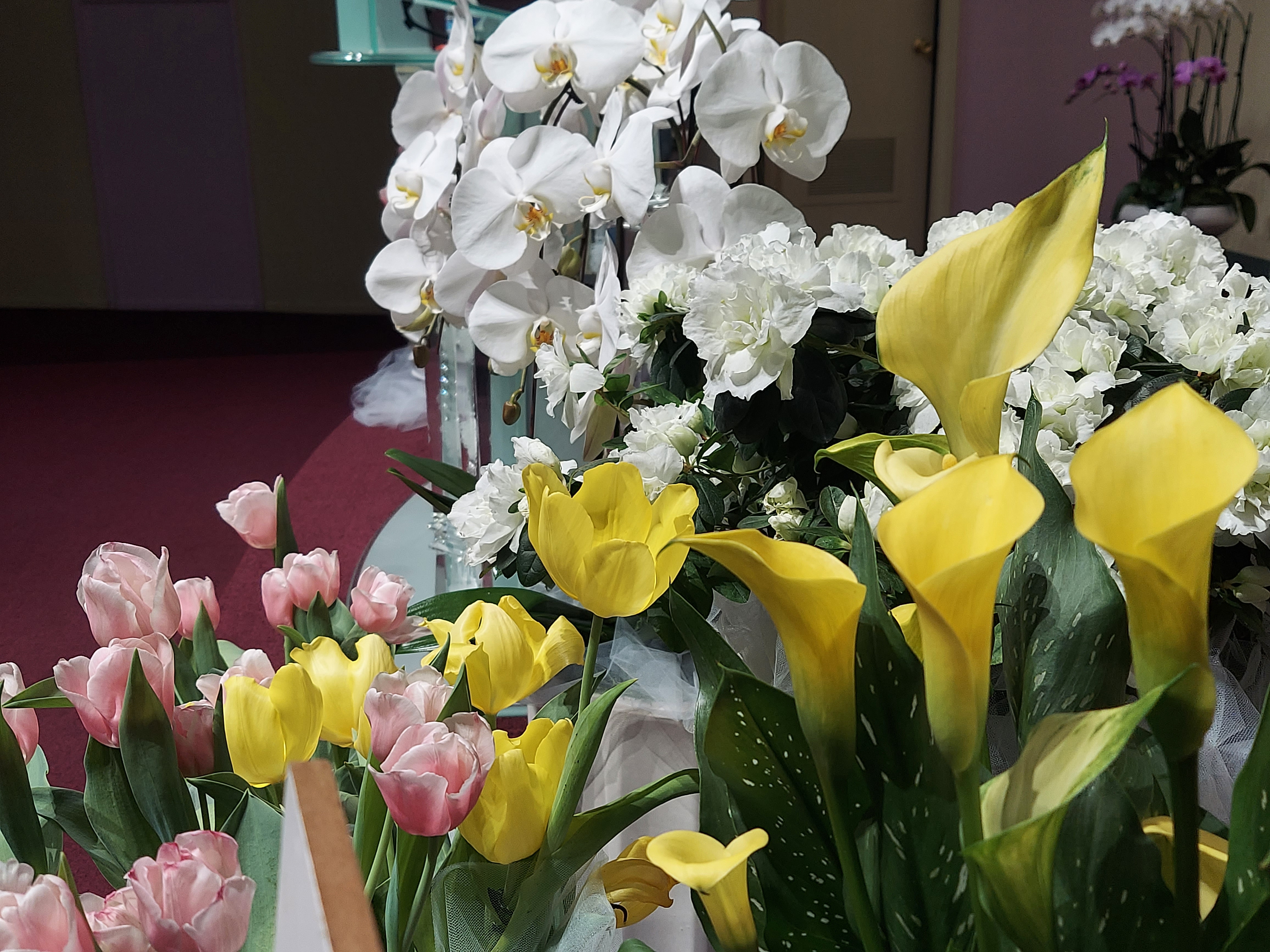 KakaoTalk_Photo_2026-04-11-19-19-40 003.jpeg